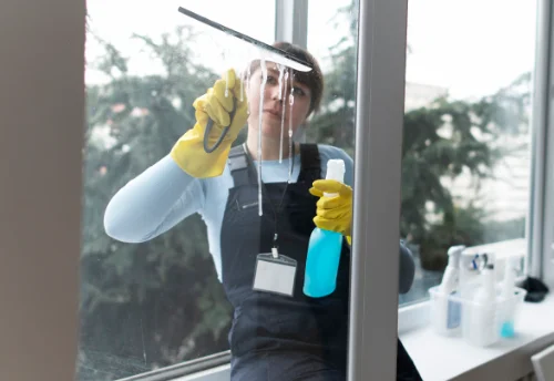 Nettoyage de vitres intérieures et extérieures à Souligny